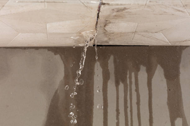 Professional Water Damage Inspection technician working in Minor Hill, TN